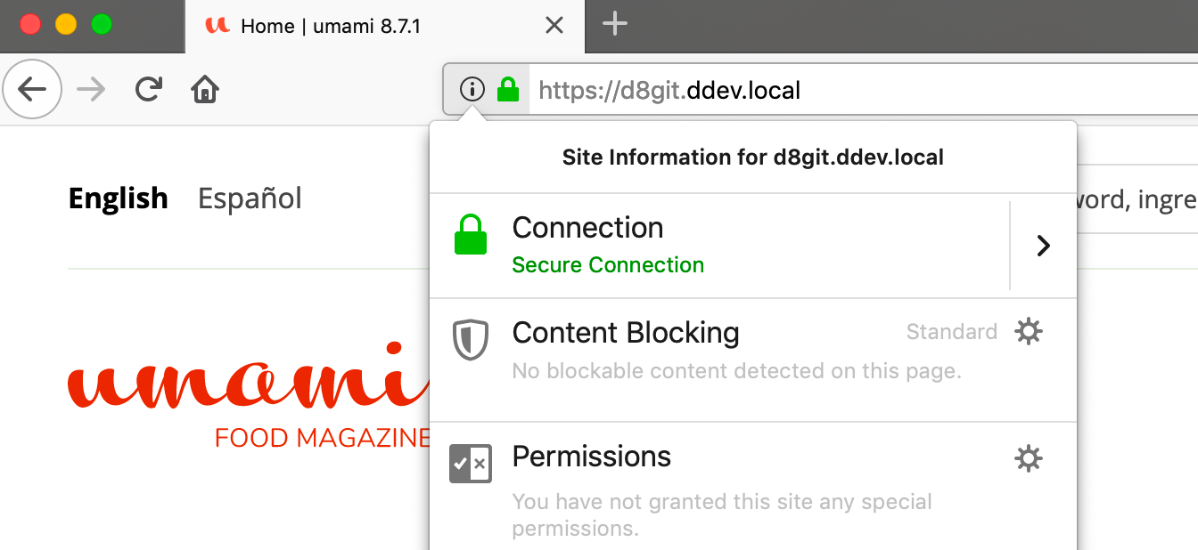 Tightly-cropped screenshot of a browser at a `.ddev.local` project URL with a secure HTTPS connection